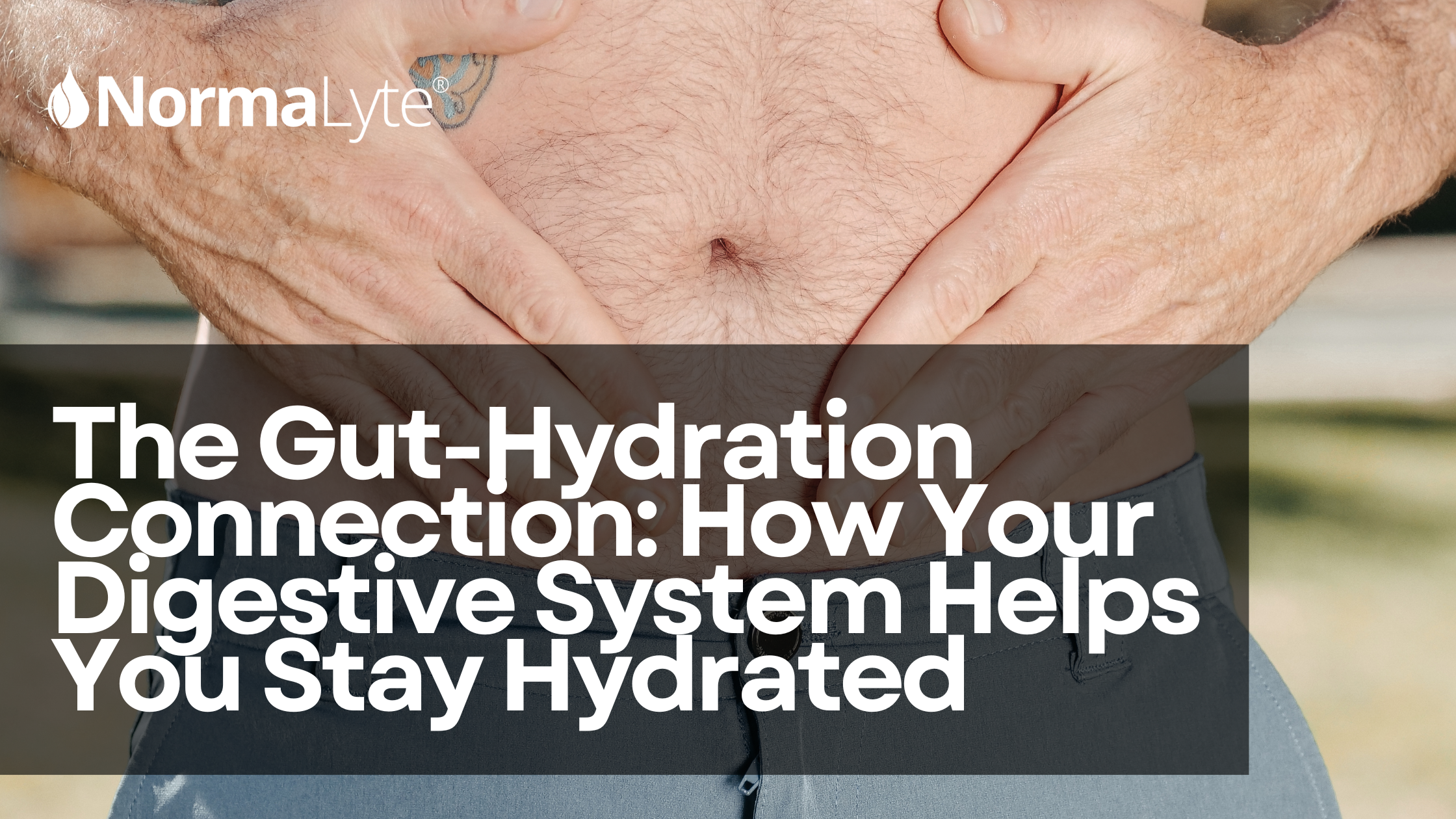 The Gut-Hydration Connection: How Your Body Absorbs Water