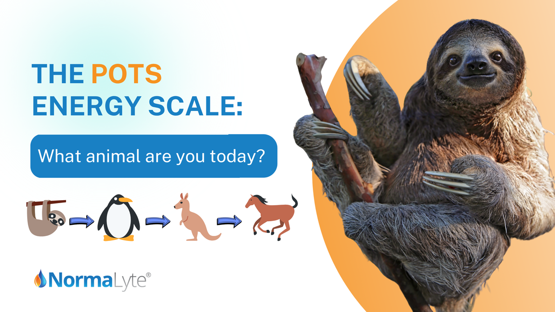 The POTS Energy Scale: What Animal Are You Today? | NormaLyte ORS Electrolytes for POTS Hydration