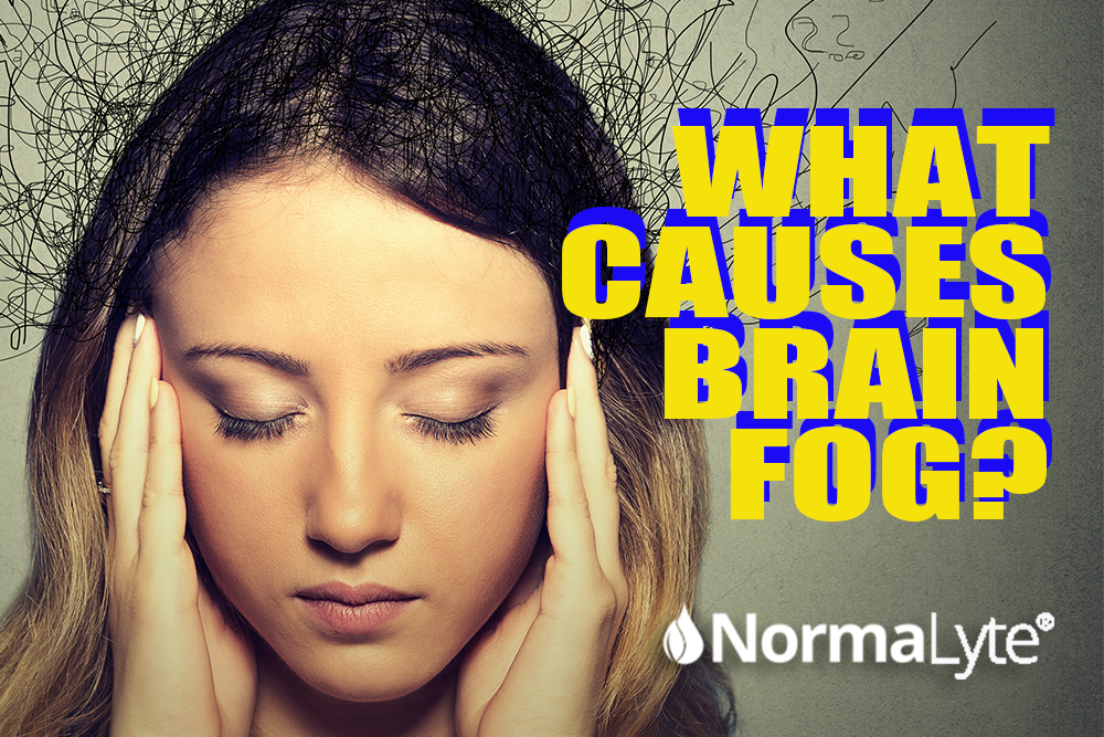 a woman holding her temples and experiencing brain fog. Caption reads "What causes brain fog?" and the NormaLyte logo is at the bottom.