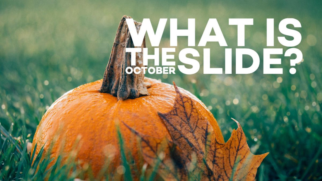 Image of a pumpkin sitting in the grass with a dried leaf.  The caption reads "What is the October slide?"
