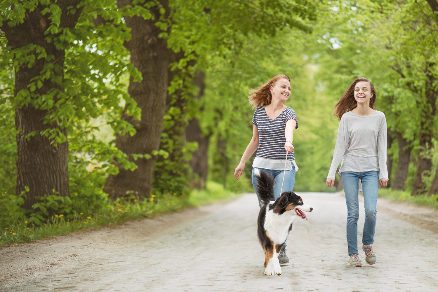 Mother and daughter walking their dog on a gravel forested path.